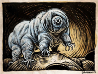 "waterbear" by Thomas Shahan, Courtesy of the artis